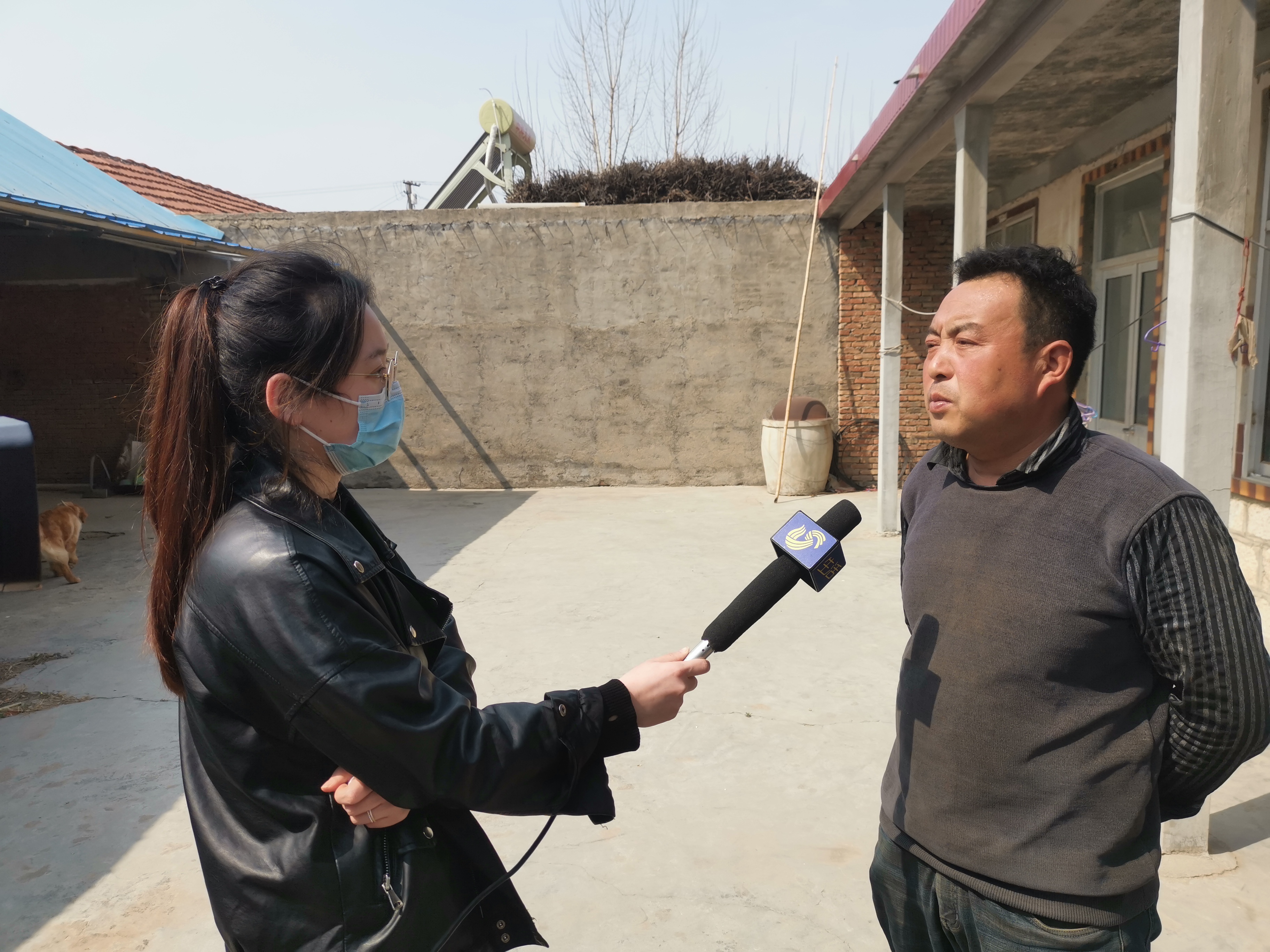 第209所 平度市崔家集镇状元府雷火官方端网站刘丽新小学 第209所 平度市崔家集镇状元府雷火官方端网站刘丽新小学