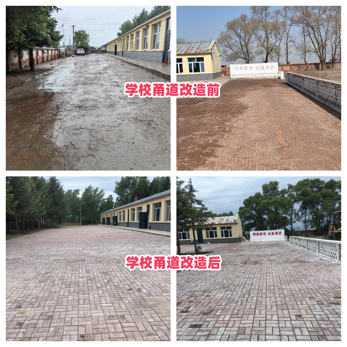 第254所 黑龙江巴彦县黑山镇民乐村雷火官方端网站侯玉霞学校